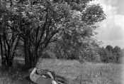 Ewa Dryszkiewicz i Wiesław Michnikowski w filmie „Godziny nadziei" w reż. Jana Rybkowskiego, 1955 r., fot. Franciszek Kadziołka, źródło: Fototeka FN