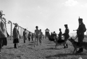 Film „Pasażerka" w reż. Andrzeja Munka i Witolda Lesiewicza, 1963 r., fot. Florian Staszewski, źródło: Fototeka FN