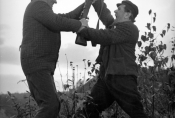 Władysław Hańcza i Wacław Kowalski w filmie „Sami swoi" w reż. Sylwestra Chęcińskiego, 1967 r., fot. Magda Julian, źródło: Fototeka FN